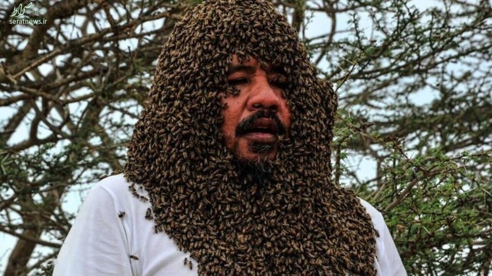 تصاویر/ دفن شدن مرد عربستانی زیر زنبور‌های عسل