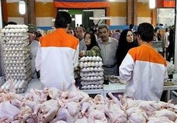 قیمت مرغ در بازار امروز ۱۳۹۷/۰۶/۲۷