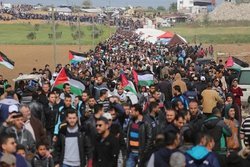 شهادت ۱۸۳ فلسطینی در غزه از آغاز تظاهرات بزرگ بازگشت