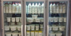 افزایش ۵.۷ درصدی تولید شیر در کشور