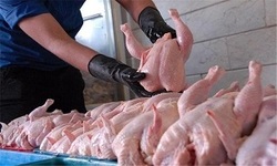 کاهش نرخ دلار قیمت مرغ را ارزان کرد
