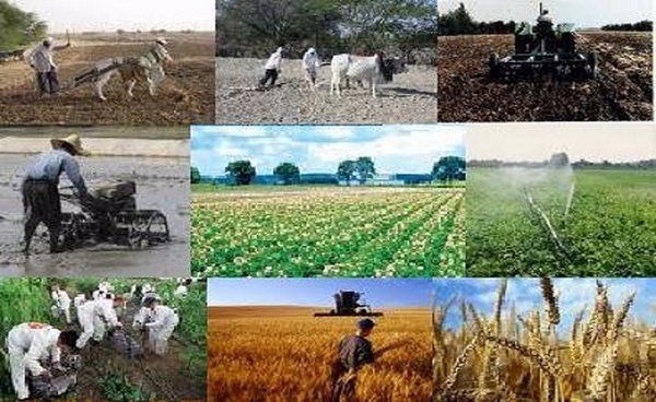 اشتغالزایی بنیاد علوی برای هزار استان البرزی در نیمه نخست سال