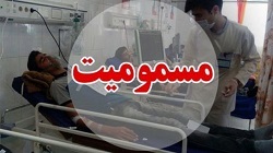 آخرین آمار تلفات الکل: 42 کشته/ 16 نفر کور شدند