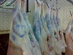 کاهش ۳ هزارتومانی قیمت گوشت گوسفندی