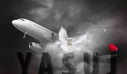 آخرین وضعیت گزارش «حادثه سقوط هواپیمای تهران - یاسوج»