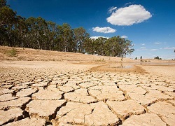 4 استان رکورد خشکسالی را زدند