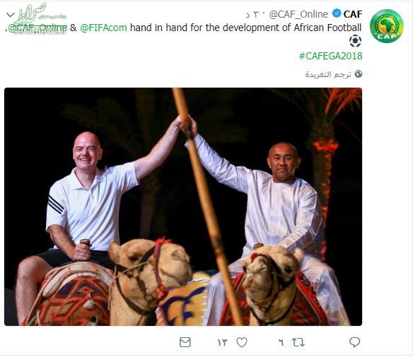 رئیس فیفا در حال شترسواری دیده شد! +عکس