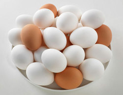 تخم مرغ تنظیم بازار در میادین میوه و تره بار/هر عدد ۳۴۵ تومان