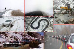 بارش برف و کمبود سوخت در جاده چالوس