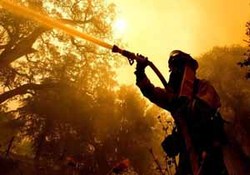 اوضاع کالیفرنیا درپی آتش سوزی بحرانی شد