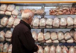 قیمت امروز مرغ در بازار (۱۳۹۷/۰۸/۲۶)
