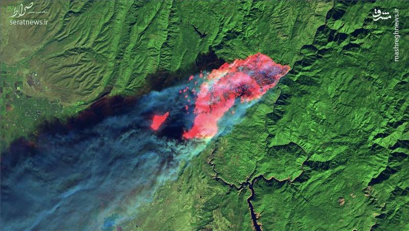 تصاویر ماهواره‌ای از تخریب گسترده جنگل‌های آمریکا