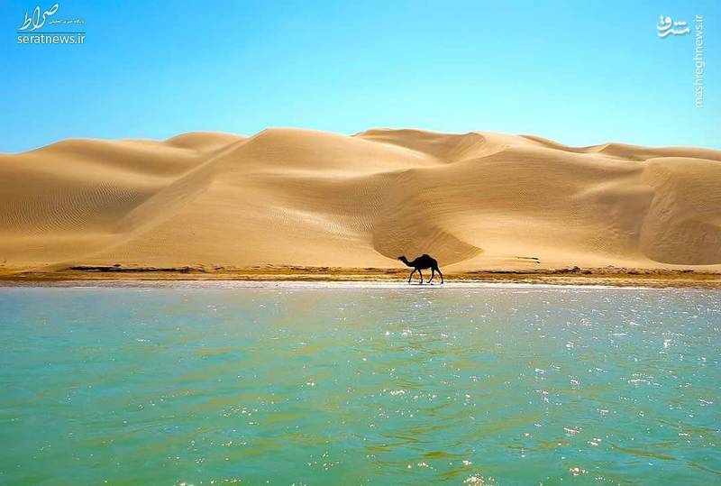 عکس/ مکانی شگفت‌انگیز در سیستان و بلوچستان!