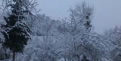 برف و کولاک در ارتفاعات البرز/ آلودگی هوای پایتخت از دوشنبه