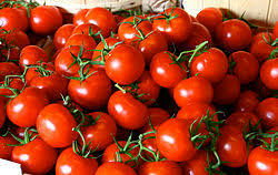 قیمت گوجه فرنگی به ۹ هزار تومان رسید