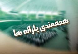 تخلف در سازمان‌ هدفمندی یارانه‌ها
