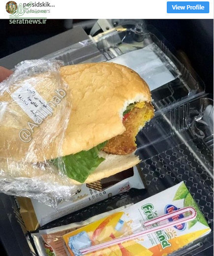 وعده غذایی فلافل در هواپیمای ایرانی+عکس