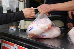 کاهش قیمت مرغ طی روزهای آینده