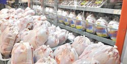 کاهش قیمت مرغ و تخم‌مرغ در بازار