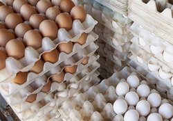 تخم مرغ شانه‌ای ۵۸۰۰ تومان شد