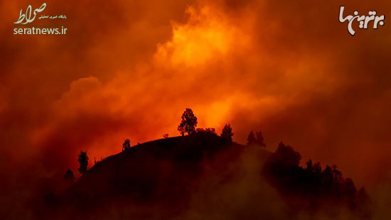 ویرانگرترین و بدترین آتش‌سوزی‌های تاریخ +تصاویر