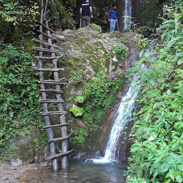 تصاویر/ آبشاری زیبا در دل جنگل‌های تالش