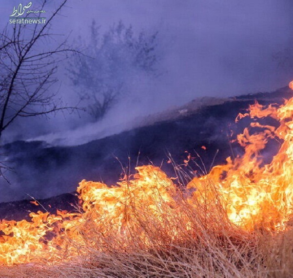 پارک ملی گلستان آتش گرفت