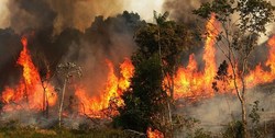 آتش‌سوزی ۳۵ هکتار از اراضی ملی ماسال