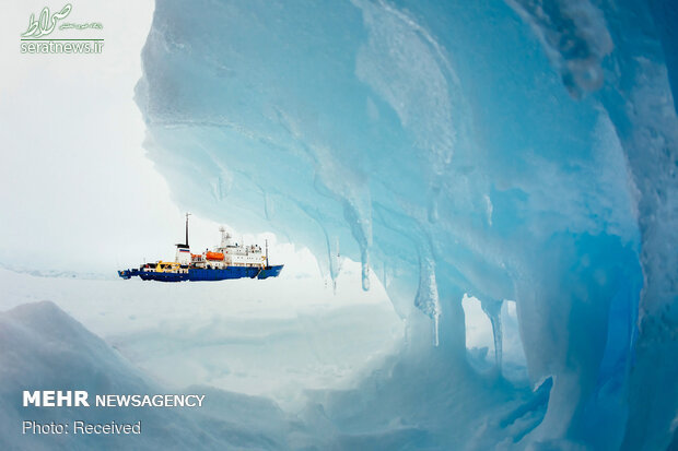 عکس/ گرمای قطب جنوب رکورد زد