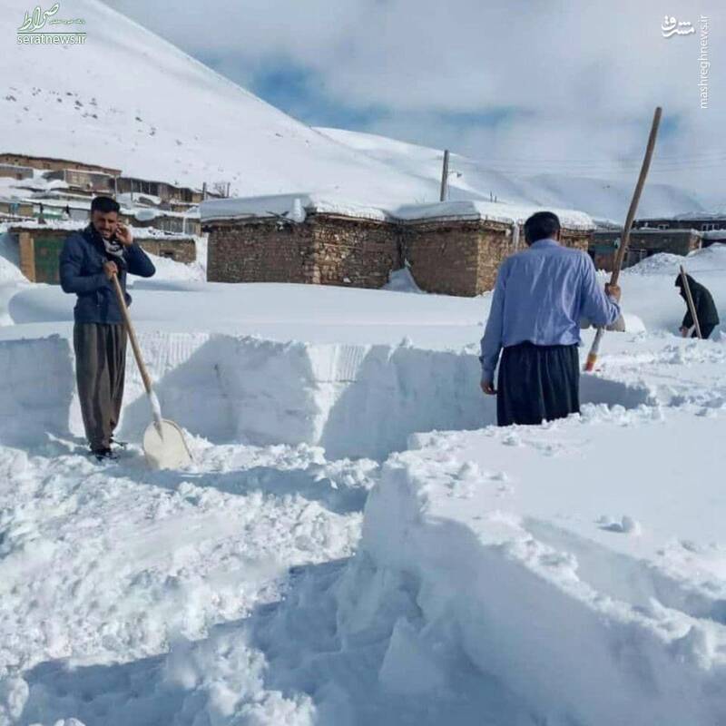 عکس/ بارش شدید برف در پیرانشهر