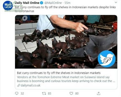 «کاری خفاش» غذای محبوب در اندونزی+عکس
