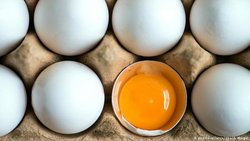 وجود تخم مرغ های تقلبی در بازار صحت دارد؟