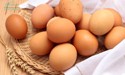 درمان ریزش مو و کم خونی با تخم مرغ