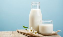 هشدار وزارت بهداشت در خصوص مصرف شیرهای سنتی