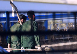 ناگفتههای سرافراز از پرونده شهرزاد میرقلی خان