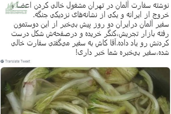 ماجرای خروج کارمندان سفارت آلمان در تهران +عکس