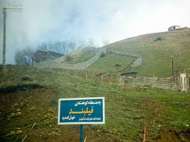 سفر به ۷ جنگل ناشناخته در اطراف تهران + تصاویر