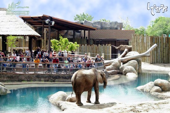 بزرگترین باغ وحش‌های جهان را می‌شناسید؟ + تصاویر
