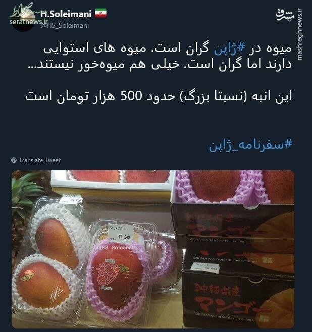 عکس/ انبه هر عدد ۵۰۰ هزارتومان!