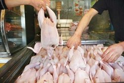 نرخ هر کیلو مرغ در بازار چند؟