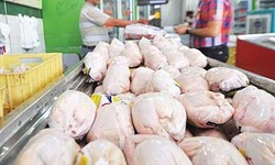 قیمت مصوب مرغ تغییر کرد؟