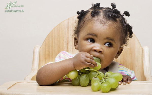 ۱۰ غذای سالم برای کودک شما +تصاویر