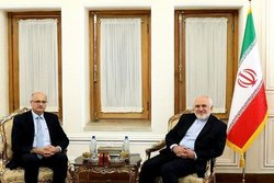 قائم مقام وزیر امور خارجه هند با ظریف دیدار کرد