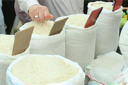 تولید برنج در کشور رکورد زد