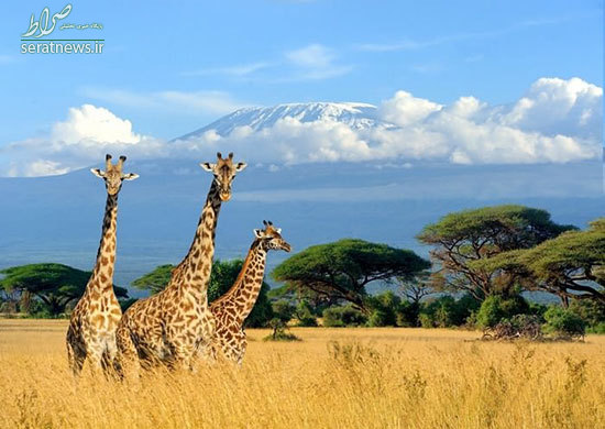 زیباترین و شگفت‌انگیزترین مکان‌های قاره‌ی آفریقا +تصاویر