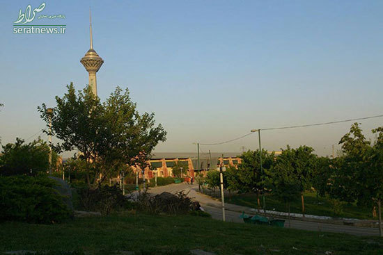 پارک های تهران برای پیاده‌روی پاییزی +تصاویر