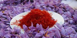 دورخیز افغان‌ها برای تصاحب بازار زعفران ایران!
