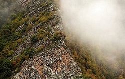 تصاویر/ پاییز جنگل۴۰ میلیون ساله هیرکانی