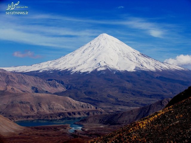 یک خطای تکراری/ نماد ملی نیوزلند در انتخابات ایران!+عکس