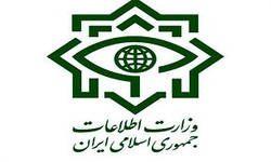 انحلال یک شبکه ضد انقلاب توسط سربازان گمنام